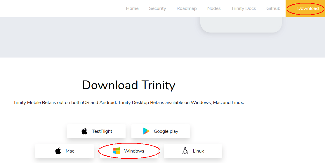 Trinity Wallet stažení peněženky